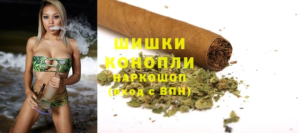 крисы Арсеньев