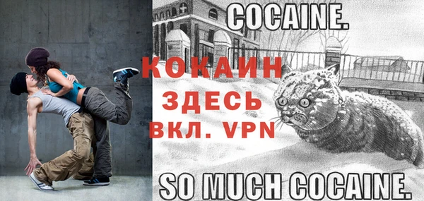 крисы Арсеньев